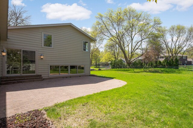 view of yard featuring a patio