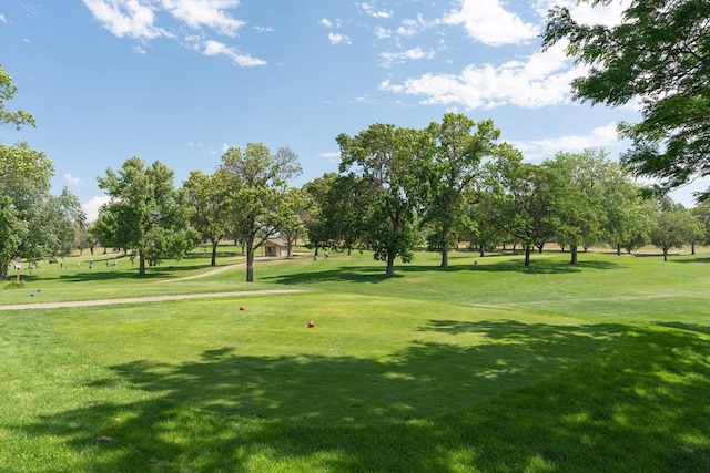 view of community featuring a lawn