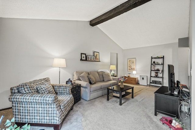 4500 Cedar Lake Rd S Unit 8, Saint Louis Park, MN 55416 - living room featuring carpet