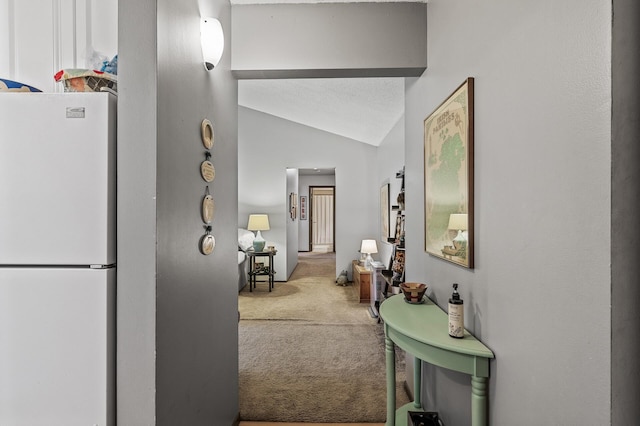 4500 Cedar Lake Rd S Unit 8, Saint Louis Park, MN 55416 - corridor with carpet and vaulted ceiling
