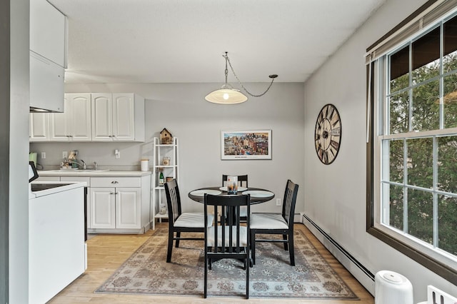 4500 Cedar Lake Rd S Unit 8, Saint Louis Park, MN 55416 - dining room featuring baseboard heating, light wood-style floors, and healthy amount of natural light