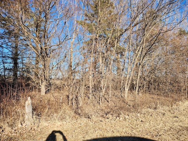 view of nature