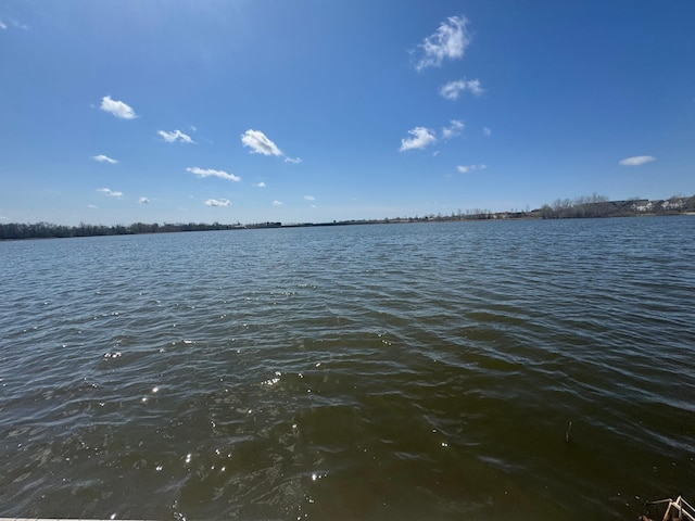11474 Laketowne Dr, Albertville, MN 55301 - water view