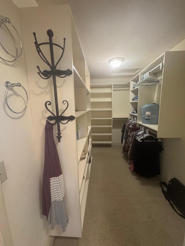 11474 Laketowne Dr, Albertville, MN 55301 - spacious closet featuring carpet