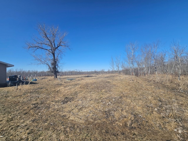 view of yard with a rural view