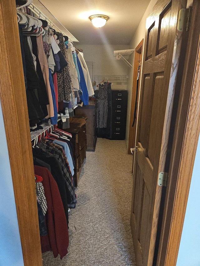spacious closet with light colored carpet