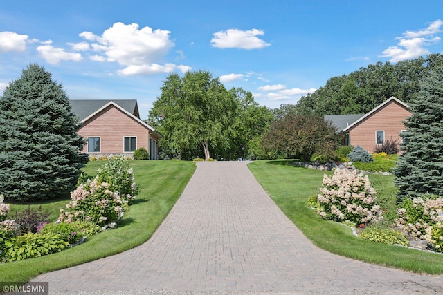 view of property's community with a yard and decorative driveway