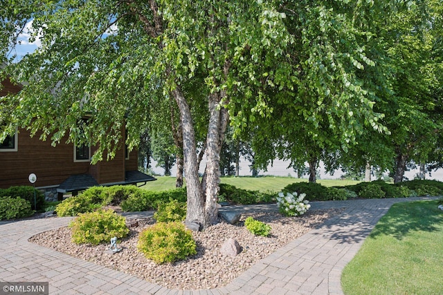 exterior space featuring a lawn
