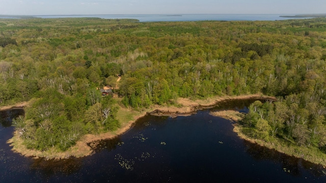 81 State 200 NE, Longville, MN 56655 - photo 41