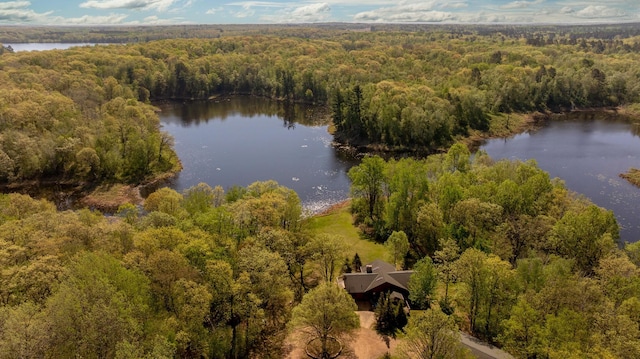 81 State 200 NE, Longville, MN 56655 - photo 45