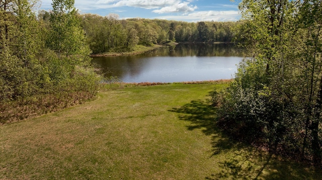 81 State 200 NE, Longville, MN 56655 - photo 55