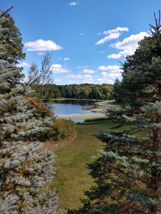 81 State 200 NE, Longville, MN 56655 - photo 65