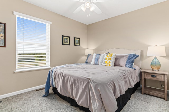 10120 189th Ave NW, Elk River, MN 55330 - carpeted bedroom with multiple windows, baseboards, and ceiling fan