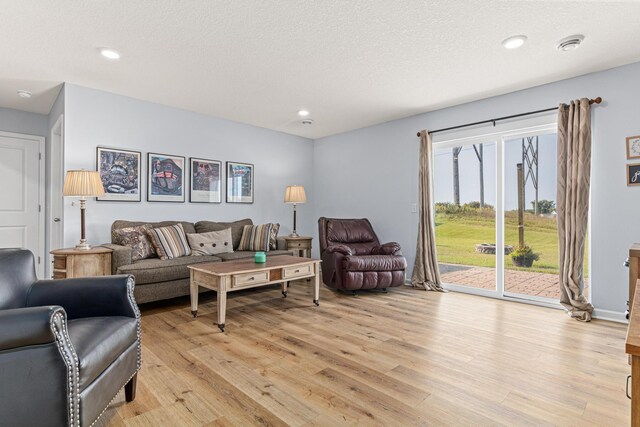 10120 189th Ave NW, Elk River, MN 55330 - living room featuring light wood-style floors and recessed lighting