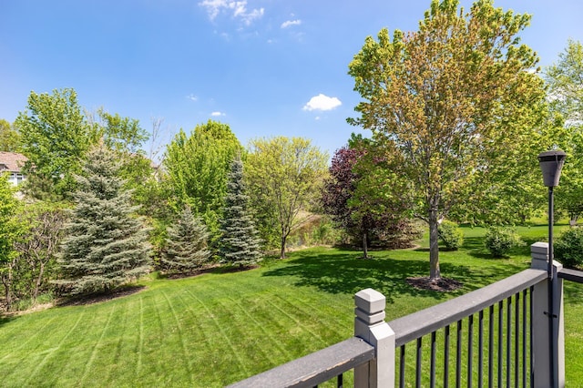 view of grassy yard
