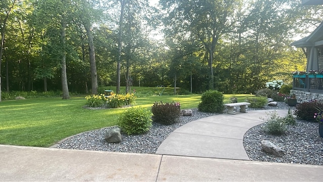13966 346th Ct, Lindstrom, MN 55045 - view of property's community with a yard