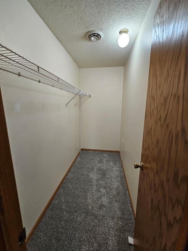21965 Shady Walk Unit 201, Deerwood, MN 56444 - walk in closet featuring carpet
