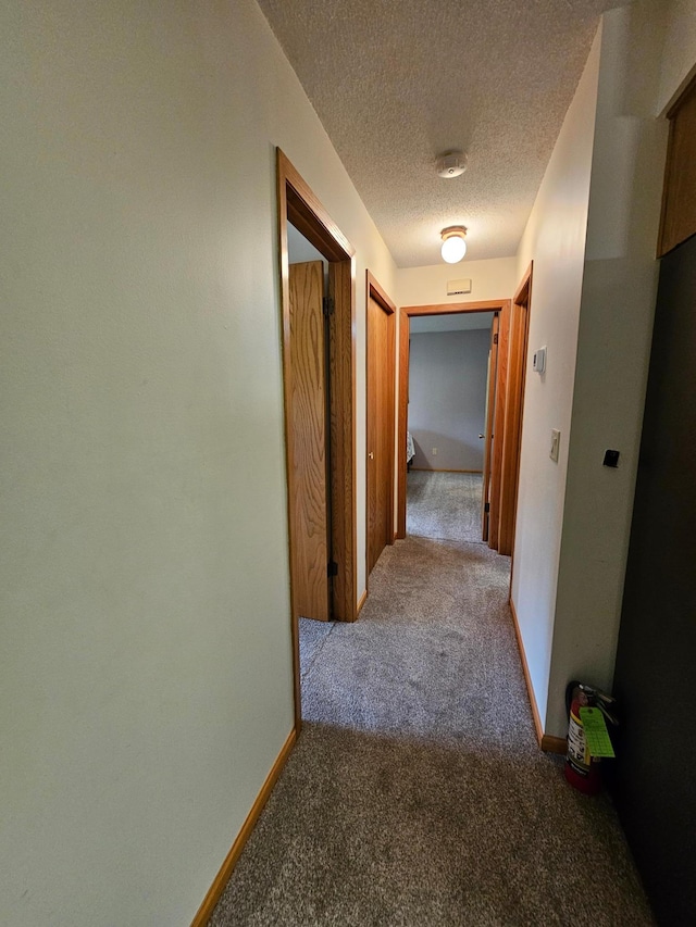 21965 Shady Walk Unit 201, Deerwood, MN 56444 - hall with carpet flooring and a textured ceiling