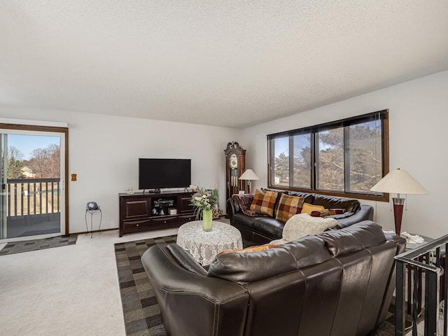15722 Griffon Ct, Apple Valley, MN 55124 - living room with carpet and a textured ceiling