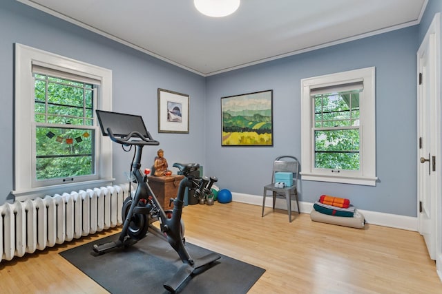 1295 Fairmount Ave, Saint Paul, MN 55105 - exercise area with radiator heating unit, wood finished floors, and crown molding
