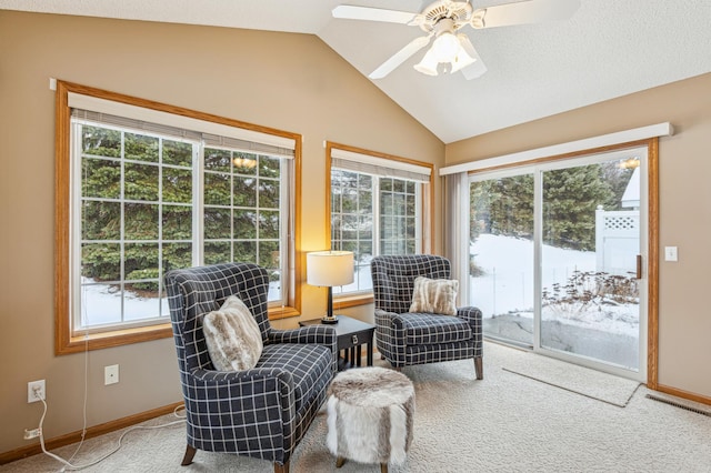 3621 Lansing Ave NE, Saint Michael, MN 55376 - sunroom with lofted ceiling and carpet floors