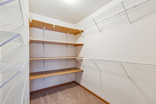 3621 Lansing Ave NE, Saint Michael, MN 55376 - walk in closet with carpet flooring