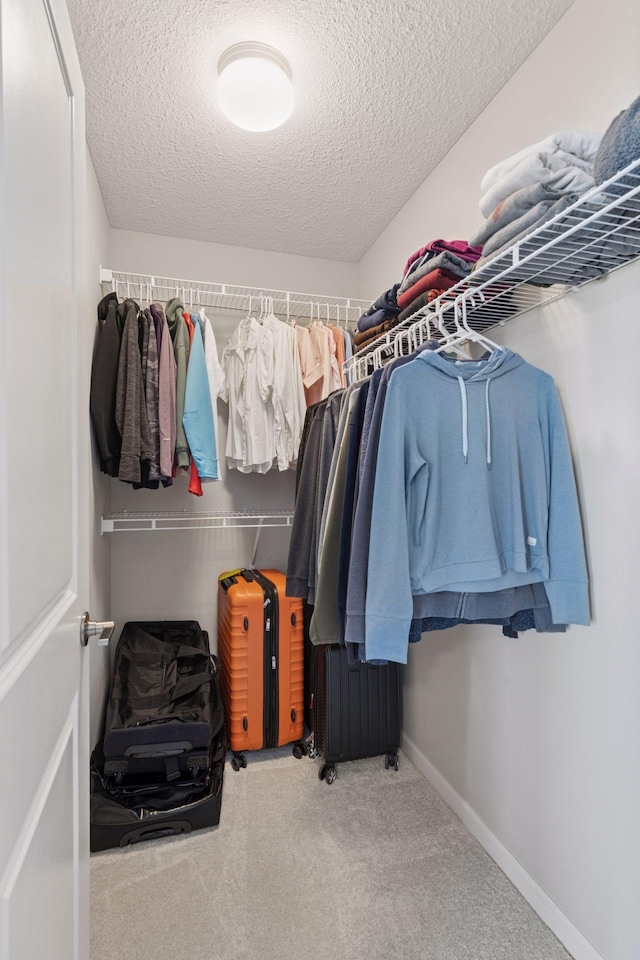 walk in closet featuring carpet floors