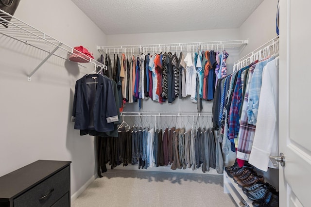 18522 60th Ave N, Plymouth, MN 55446 - walk in closet featuring carpet floors