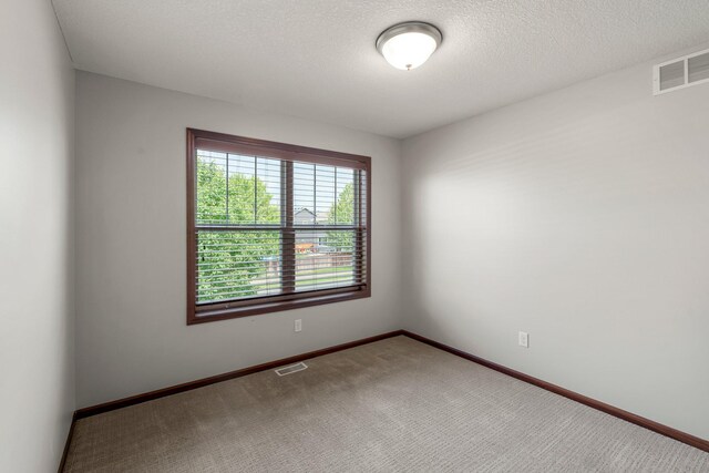 18285 Dunbury Ave, Farmington, MN 55024 - photo 32