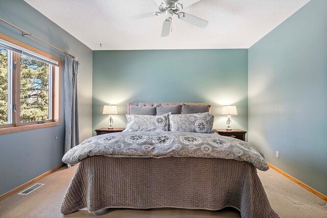 3931 Crestview Dr, Chanhassen, MN 55331 - photo 28