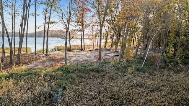 12105 285th St, Chisago Lake Twp, MN 55045 - view of yard featuring a water view