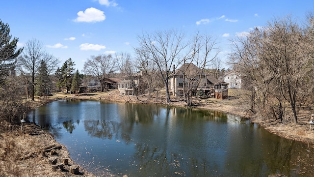 436 Bruns Ct, Vadnais Heights, MN 55127 - water view