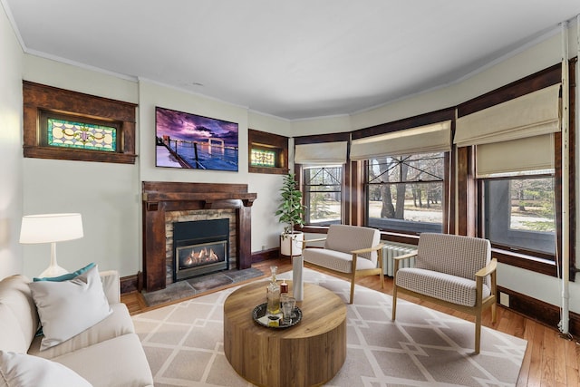 living area with radiator, light wood-type flooring, a wealth of natural light, and a fireplace