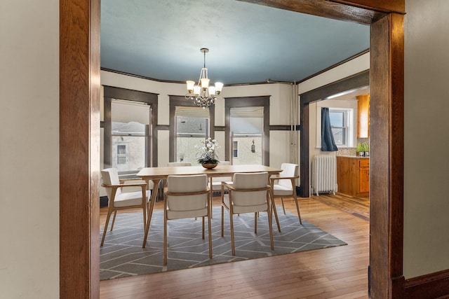 dining area featuring hardwood / wood-style floors, an inviting chandelier, crown molding, and radiator