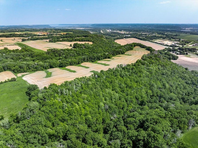 TBD 230th Ave, Hager City, WI 54014 - photo 1