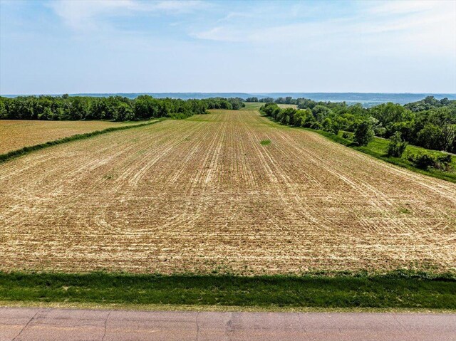 TBD 230th Ave, Hager City, WI 54014 - photo 10