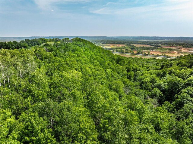 TBD 230th Ave, Hager City, WI 54014 - photo 11