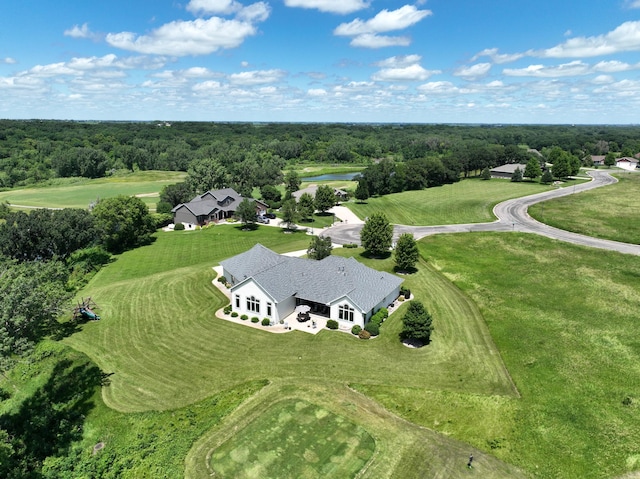 241 Cottonwood Cv, Lynd, MN 56157 - drone / aerial view with a view of trees