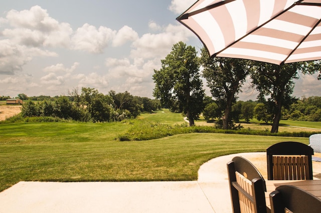 241 Cottonwood Cv, Lynd, MN 56157 - view of yard