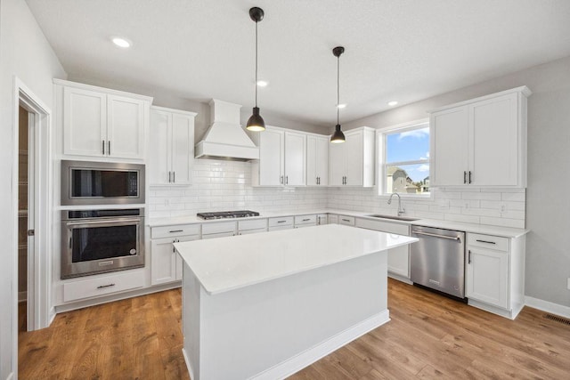 1531 Clover Preserve Way, Chaska, MN 55318 - kitchen featuring stainless steel appliances, white cabinets, custom range hood, and a sink