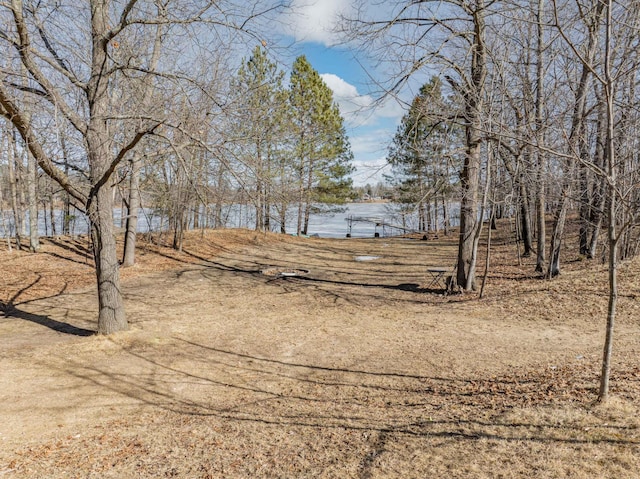 34130 Deer Lake Rd, Grand Rapids, MN 55744 - view of yard