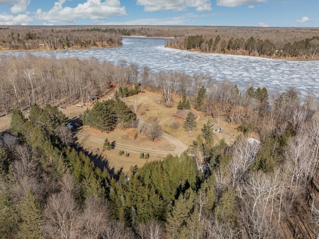 34130 Deer Lake Rd, Grand Rapids, MN 55744 - aerial overview of property's location featuring a nearby body of water and a forest