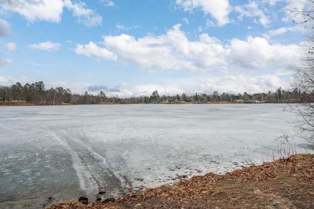 34130 Deer Lake Rd, Grand Rapids, MN 55744 - view of yard featuring a water view
