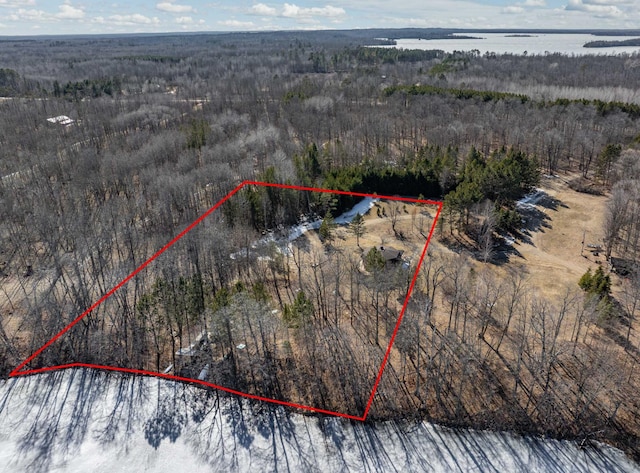 34130 Deer Lake Rd, Grand Rapids, MN 55744 - aerial view of property and surrounding area with property boundaries highlighted, a forest, and a nearby body of water