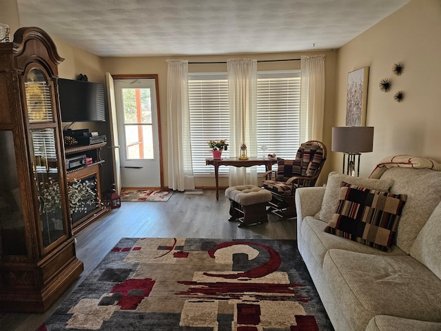 living room featuring wood finished floors