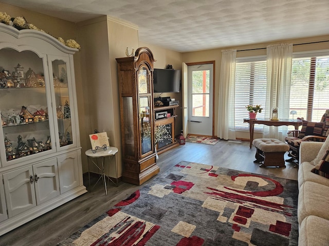 living area with wood finished floors