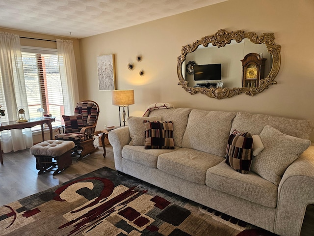 living room featuring wood finished floors