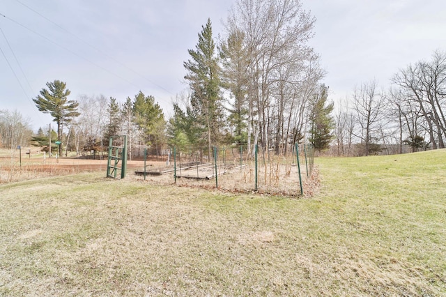 view of yard with a vegetable garden