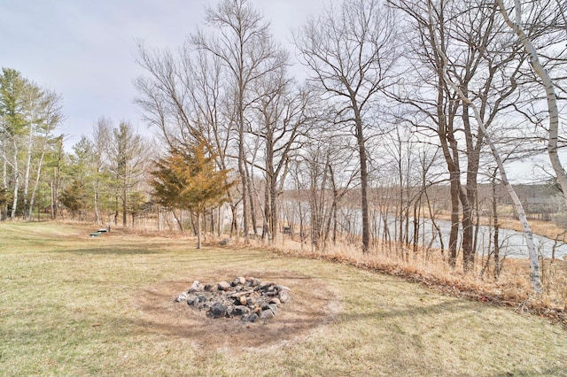 view of yard with an outdoor fire pit