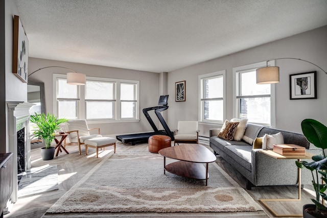79 Western Ave N Unit 100, Saint Paul, MN 55102 - living area featuring a textured ceiling, a high end fireplace, wood finished floors, and a baseboard radiator